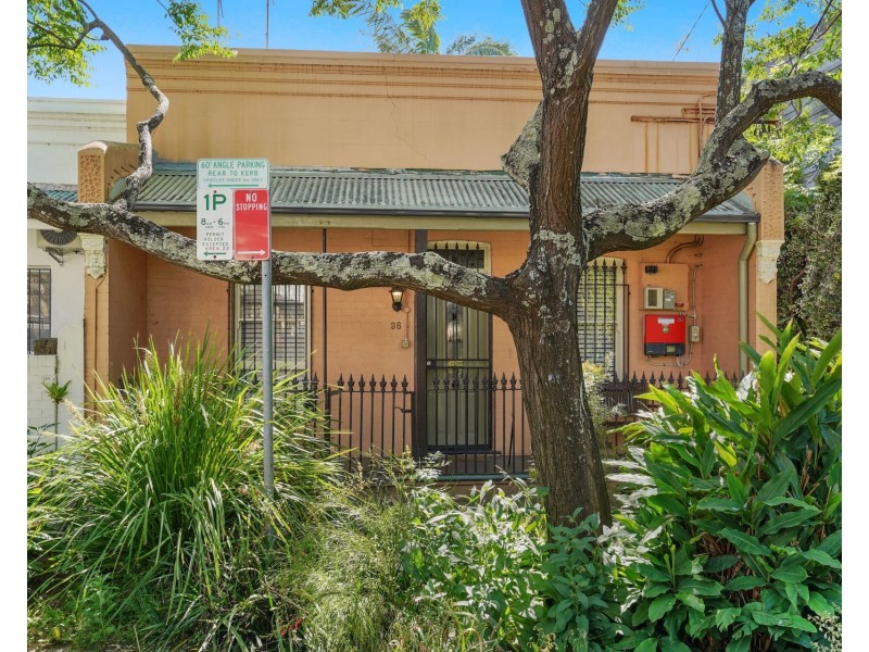 36 Holdsworth Street, Newtown NSW 2042