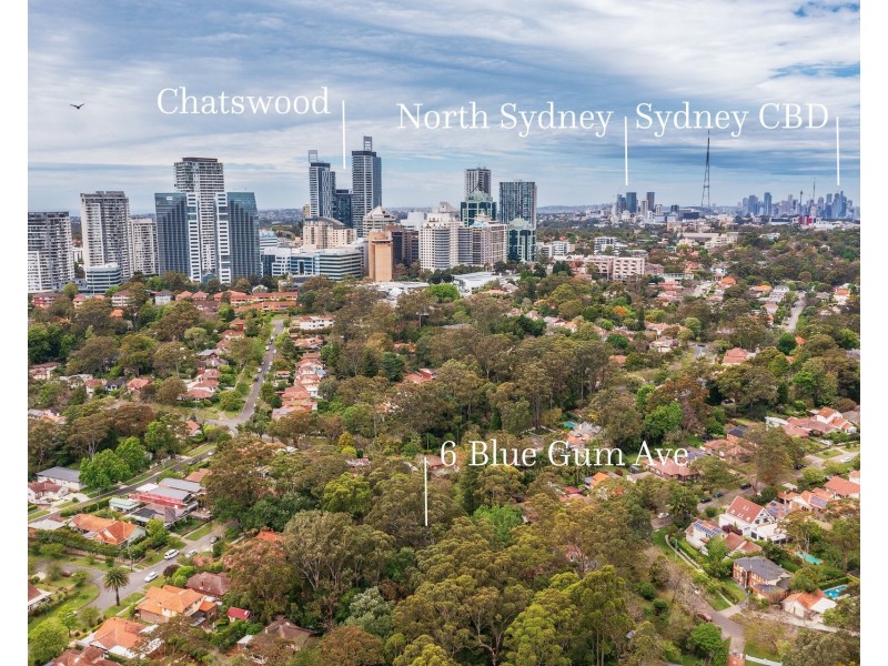 6 Blue Gum Avenue, Chatswood NSW 2067