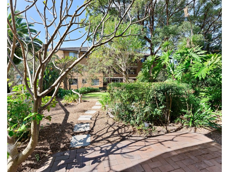 5/21 Johnson Street, Chatswood NSW 2067