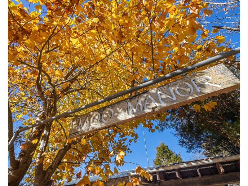 61 Kings Road, Leura NSW 2780