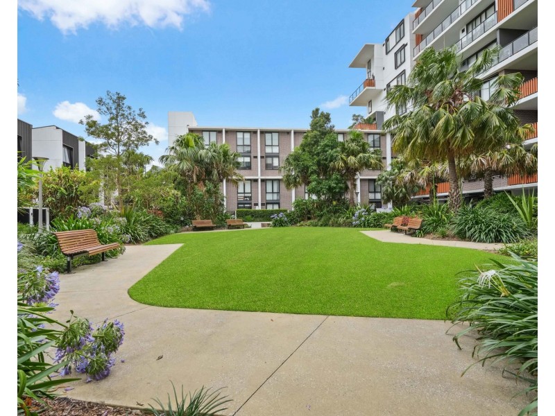 4203/50 Pemberton Street, Botany NSW 2019