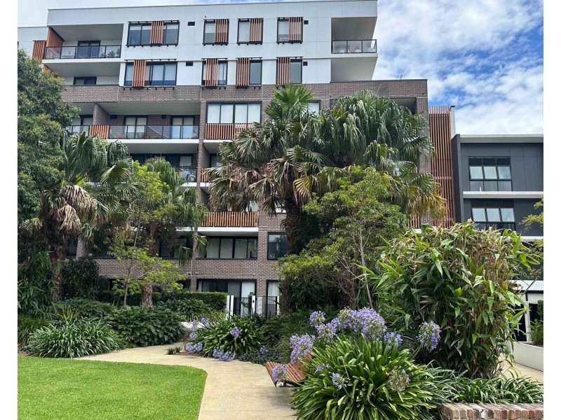 4203/50 Pemberton Street, Botany NSW 2019