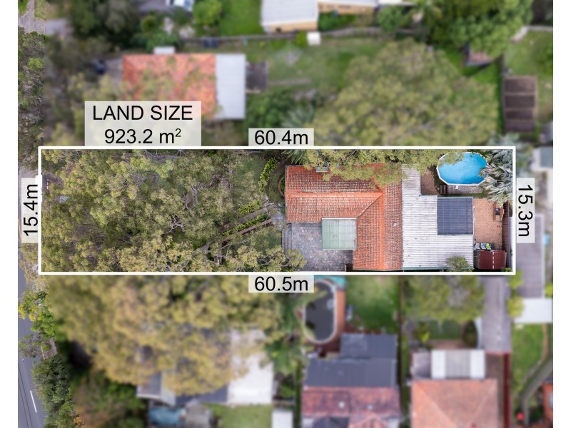 355 Bexley Road, Bexley North NSW 2207