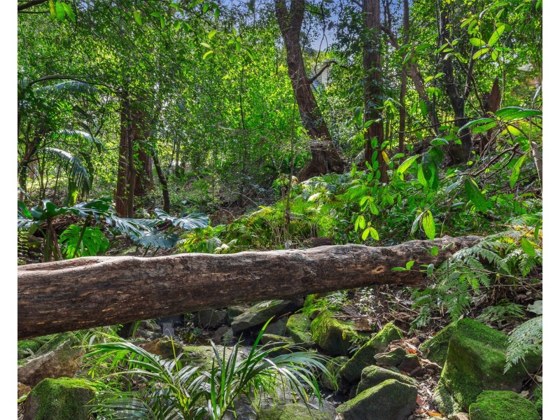 44 Dalrymple Avenue, Chatswood NSW 2067