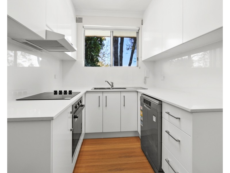 6/156 Penshurst Street, Willoughby NSW 2068