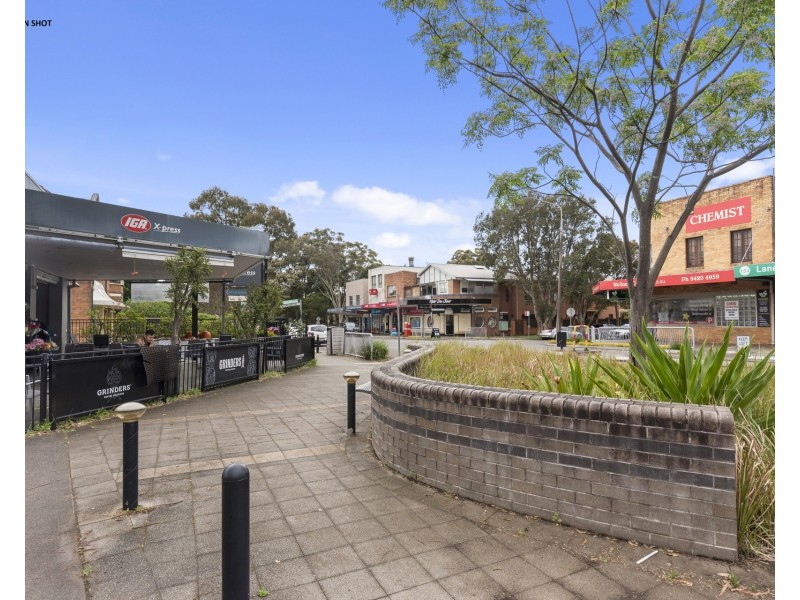 24 Moore Street, Lane Cove NSW 2066