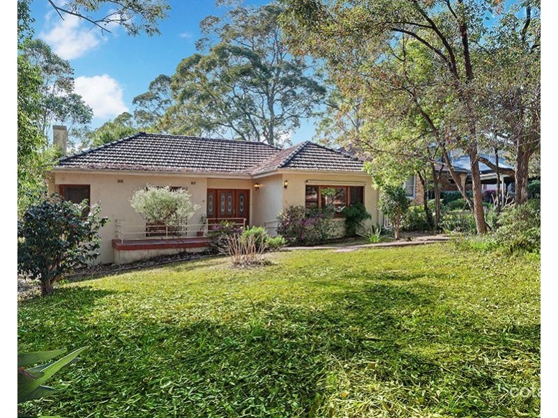 41 Beaconsfield Road, Chatswood NSW 2067