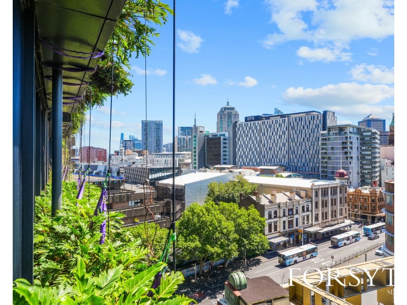 708/3 Carlton Street, Chippendale NSW 2008