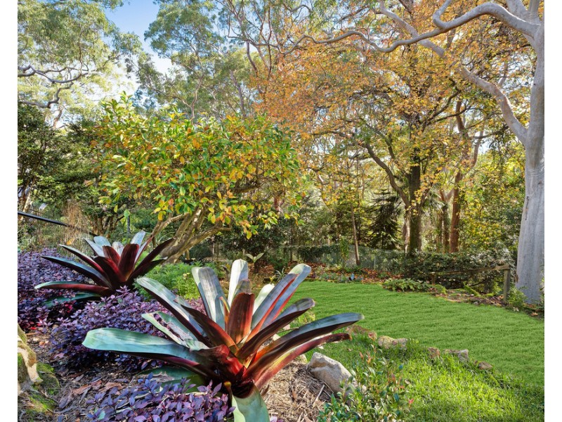 19 Valleyview Crescent, Greenwich NSW 2065