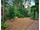 33 Jenkins Street, Chatswood NSW 2067