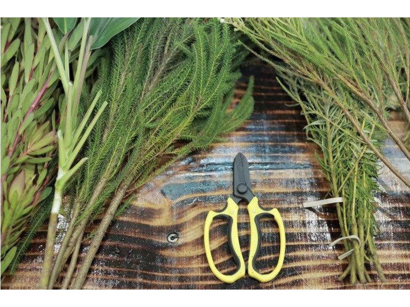 Five Dock, Five Dock NSW 2046