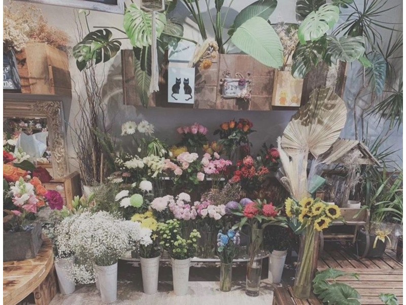 Five Dock, Five Dock NSW 2046