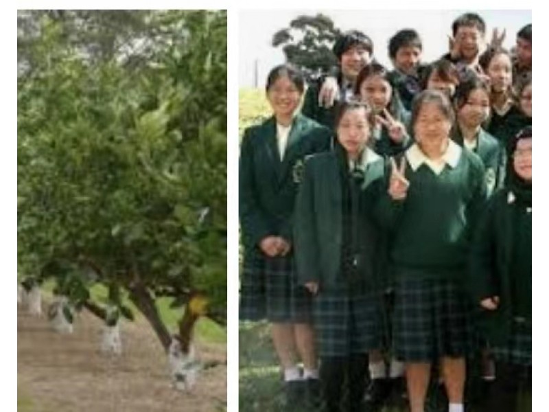 512/780-786 Pennant Hills Road, Carlingford NSW 2118