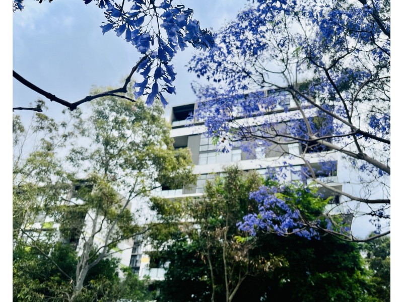 223/1 Hutchinson Walk, Zetland NSW 2017