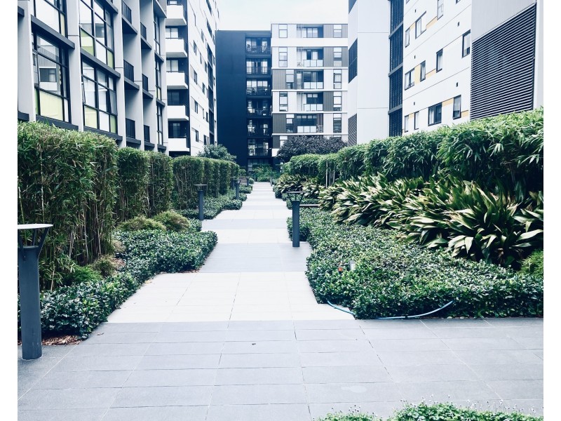 223/1 Hutchinson Walk, Zetland NSW 2017