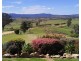 Tantawangalo NSW 2550