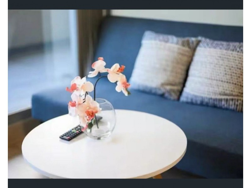 108 /36-38 Victoria Street East, Burwood NSW 2134