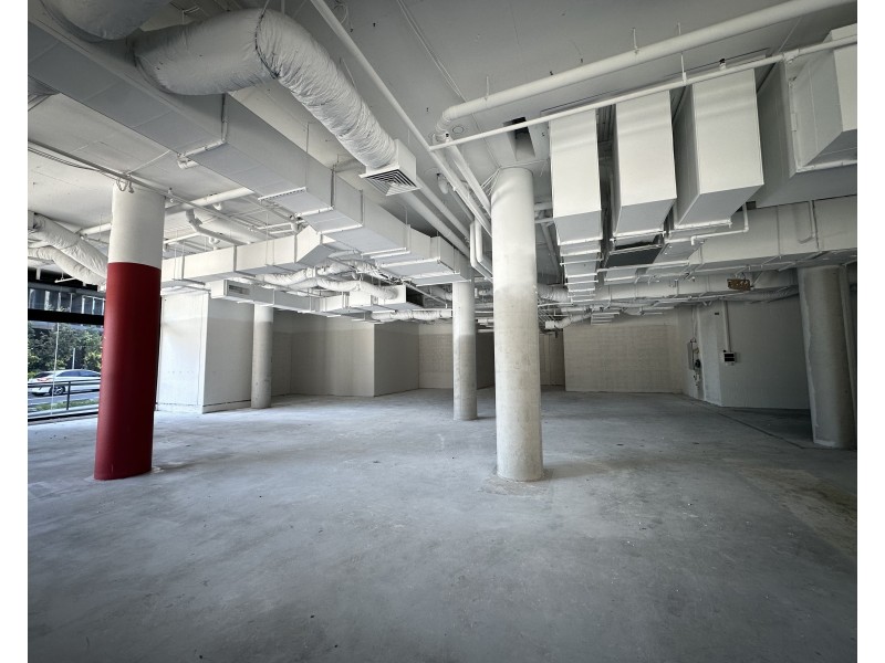 shop 1/811 Elizabeth Street, Zetland NSW 2017