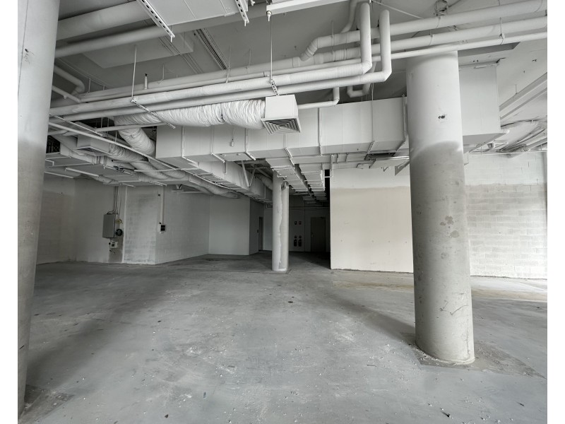 shop 1/811 Elizabeth Street, Zetland NSW 2017