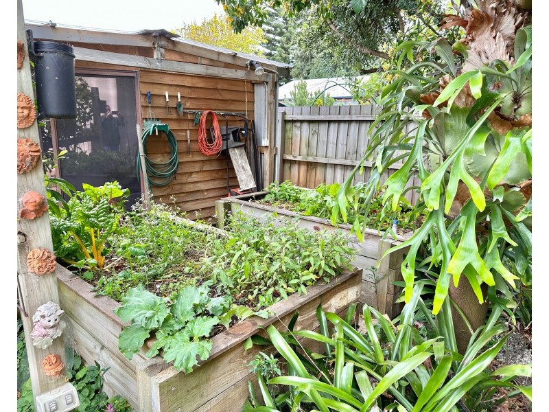 3A Mcindoe Parade, Parkdale VIC 3195