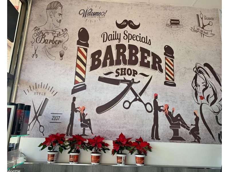 43 Dunstan Street, Clayton VIC 3168