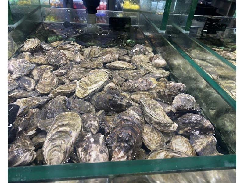 832/18 Albert Street, Footscray VIC 3011