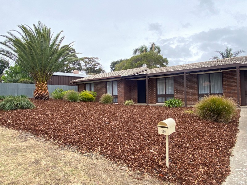 19 Carnoustie Avenue, Fairview Park SA 5126