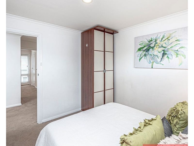 40 Roneo Place, North Adelaide SA 5006