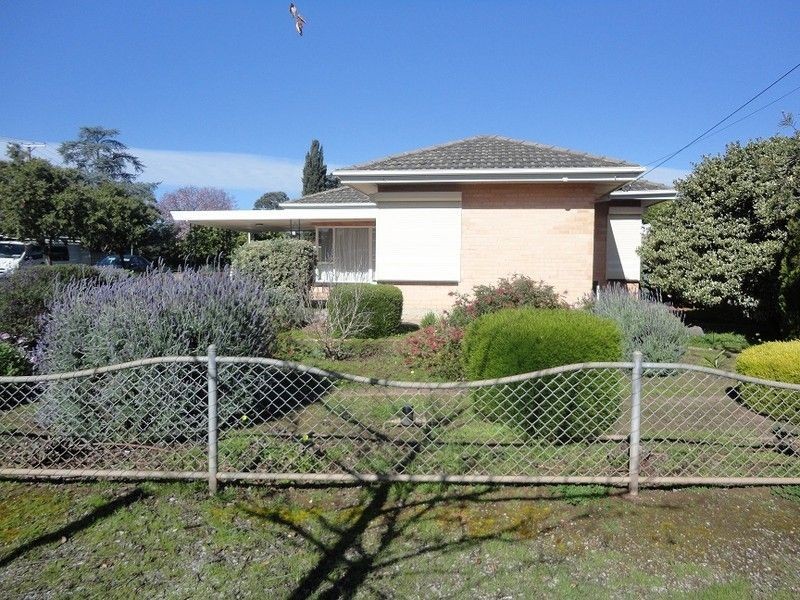 27 Walker Avenue, Paradise SA 5075