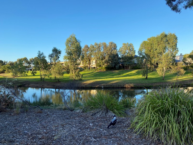 3/17 Euston Walk, Mawson Lakes SA 5095