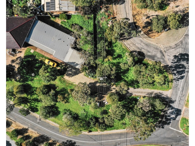 75 Quinton Court, Pasadena SA 5042