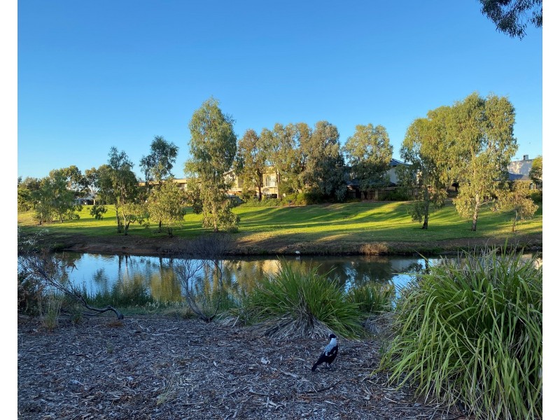 2/17 Euston Walk, Mawson Lakes SA 5095