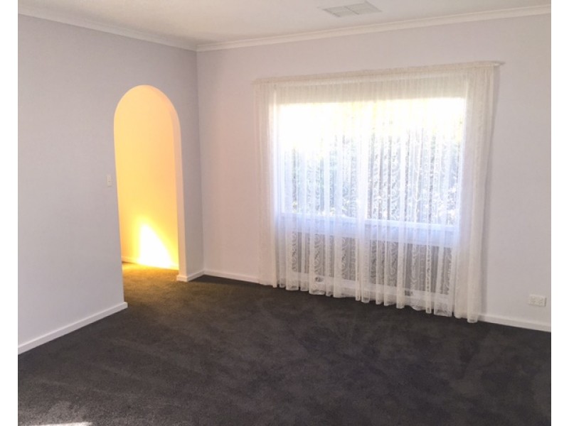 1/41 Olive Street, Prospect SA 5082