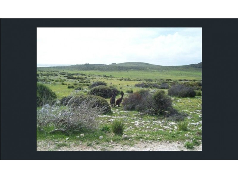 11 Cathers Road, Pelican Lagoon SA 5222