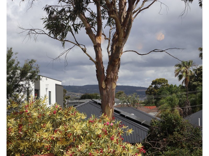 unit 5/124 Clairville Road, Newton SA 5074