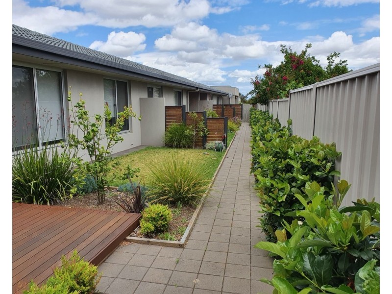 2/10 Lynette Avenue, Hectorville SA 5073