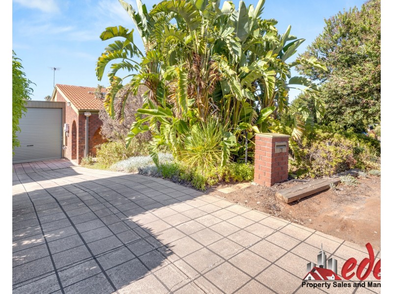 51 Maxlay Road, Modbury Heights SA 5092