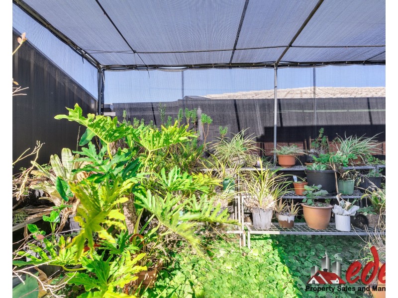 51 Maxlay Road, Modbury Heights SA 5092