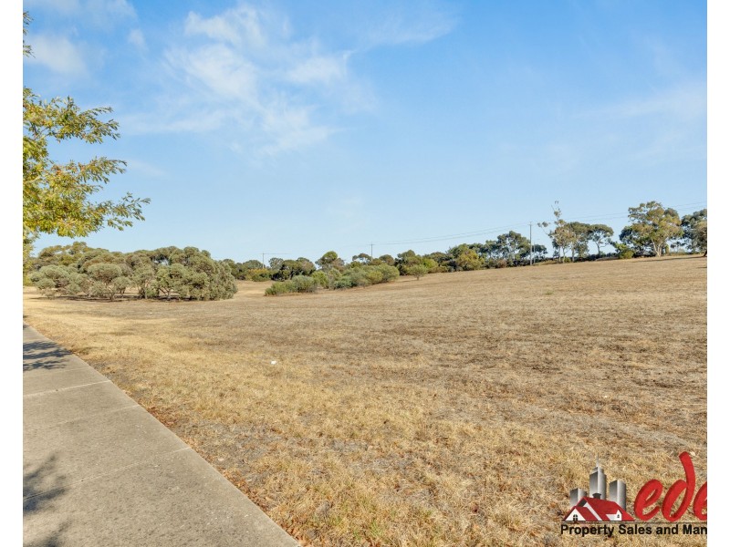 51 Maxlay Road, Modbury Heights SA 5092