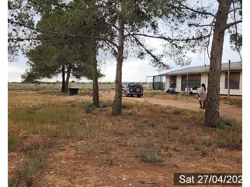 155 Kallora Road, Bowmans SA 5550