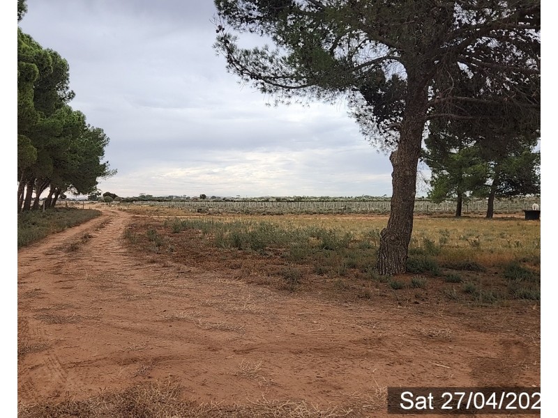 155 Kallora Road, Bowmans SA 5550