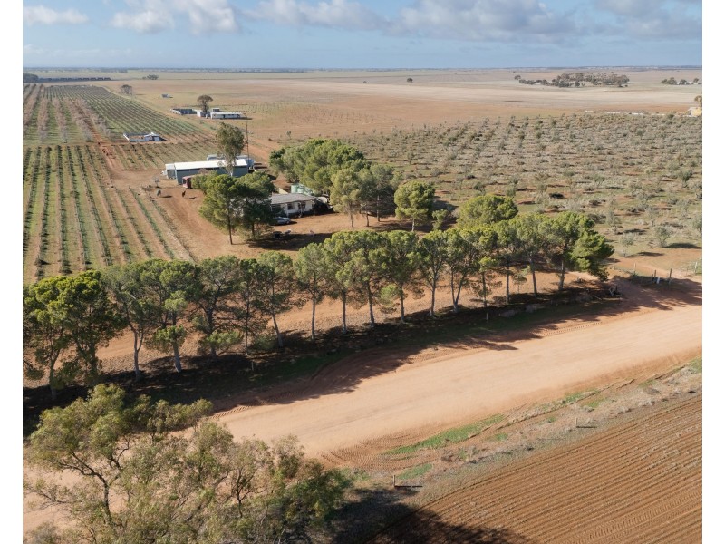 155 Kallora Road, Bowmans SA 5550