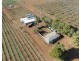 155 Kallora Road, Bowmans SA 5550