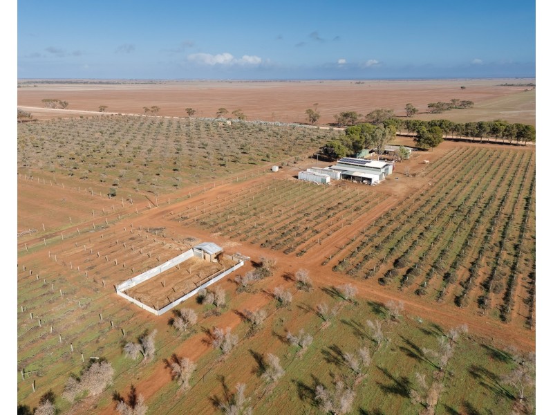 155 Kallora Road, Bowmans SA 5550