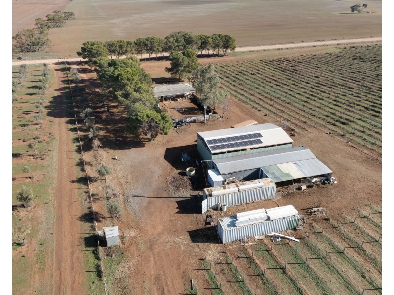 155 Kallora Road, Bowmans SA 5550