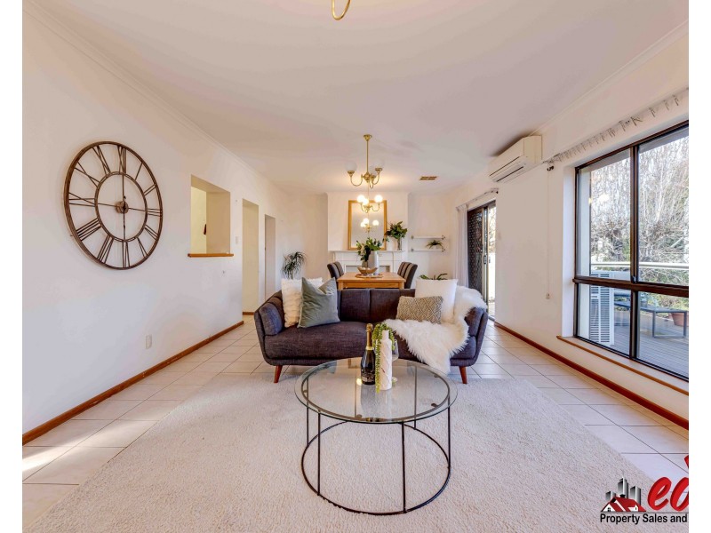 466 Marion Road, Plympton Park SA 5038