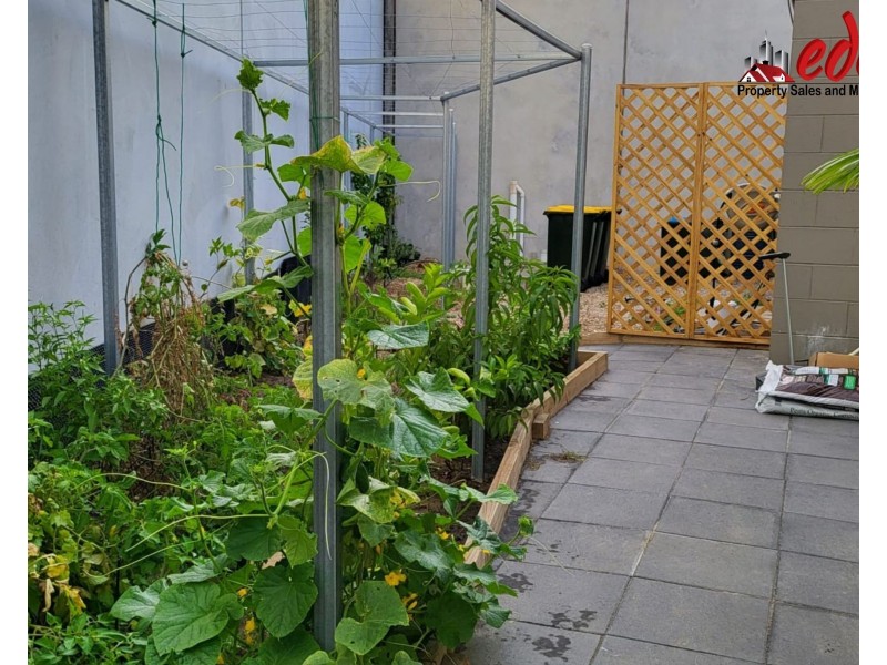 1A/566 North East Road, Holden Hill SA 5088