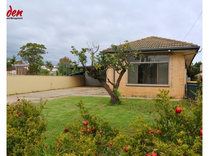 6  Melba Court, Hectorville SA 5073