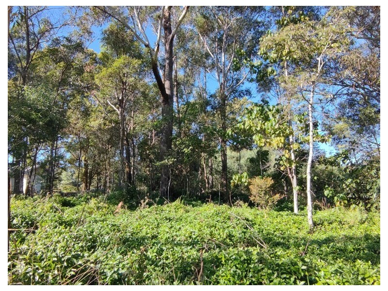 14 Aster Street, Russell Island QLD 4184