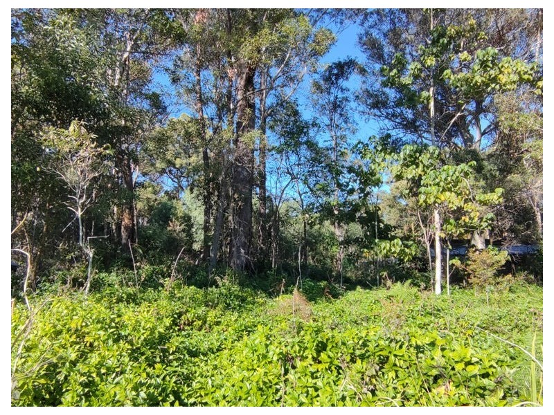 14 Aster Street, Russell Island QLD 4184